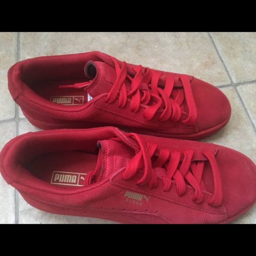 Puma - Picture 2 of 4